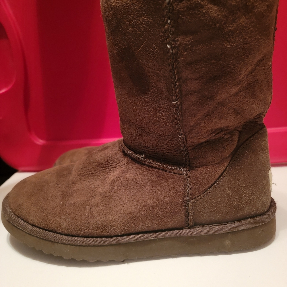 Ugg Shearling Boots